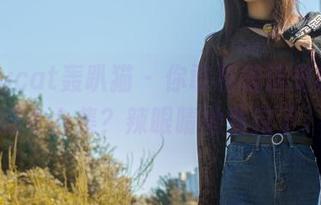 partycat轰趴猫 - 你敢相信这是亦菲的睡衣合集？辣眼睛地看完了。