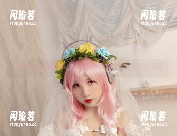 下载猫田圣奈奈的夏日作品，连猫咪都要羡慕的清凉