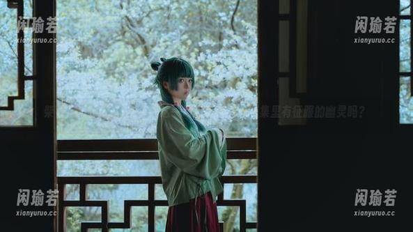 矢量鱼 柴郡魔术师VS矢量鱼:这一场写真大战,图集里有征服的幽灵吗?