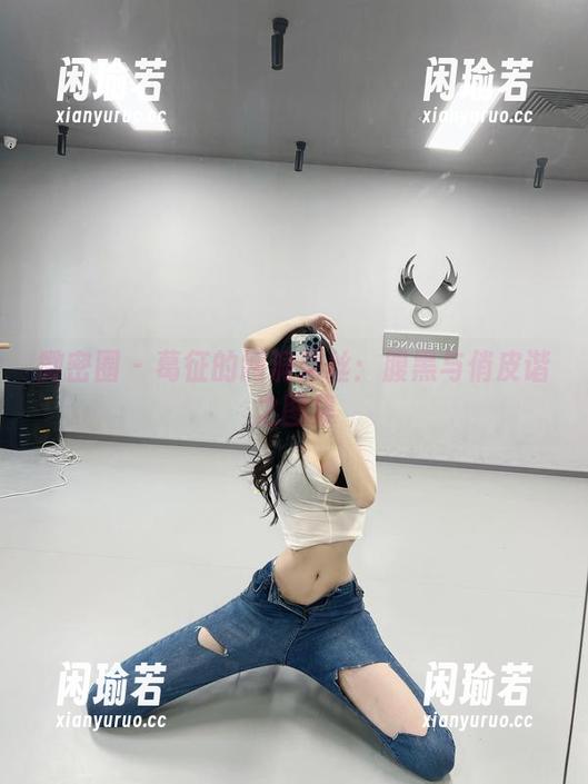 葛征 微密圈 - 葛征的网洞黑丝:腹黑与俏皮谐之图集
